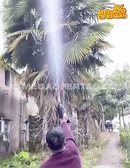 Lavacoches AquaBlast